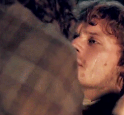 postparacomentaroutlander