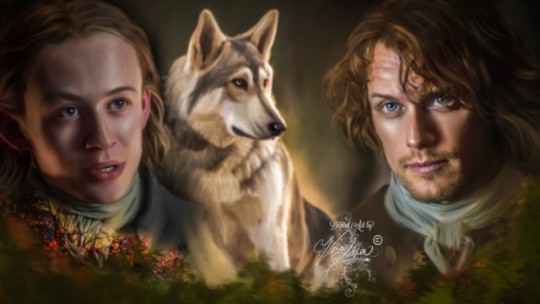 postparacomentaroutlander
