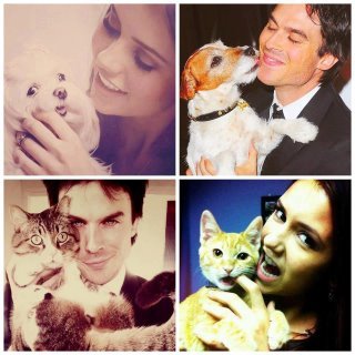 postnianninadobreviansomerhalderwhatabeautifulcouple