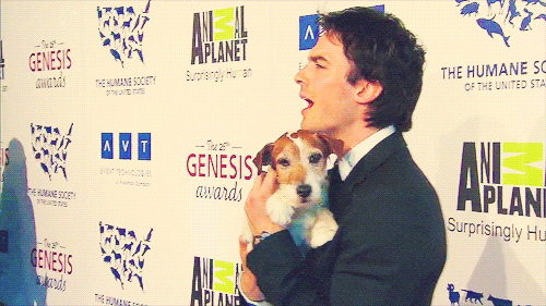 postnianninadobreviansomerhalderwhatabeautifulcouple