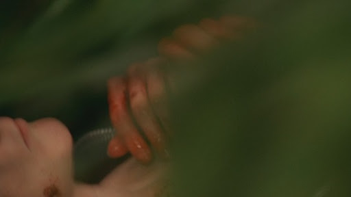 sabesmasquenadieadivinaelcapitulo
