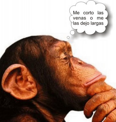 comentemosaquiloscapitulosdebandolera