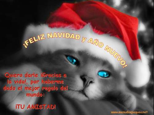 comentemosaquiloscapitulosdebandolera