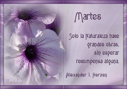 comentemosaquiloscapitulosdebandolera