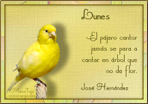 comentemosaquiloscapitulosdebandolera