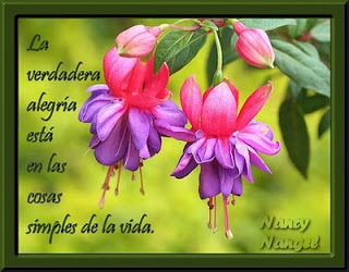 comentemosaquiloscapitulosdebandolera