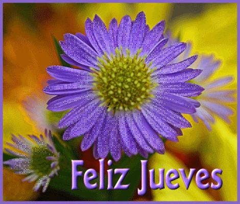 comentemosaquiloscapitulosdebandolera