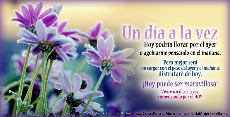 comentemosaquiloscapitulosdebandolera