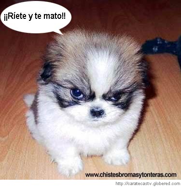 comentemosaquiloscapitulosdebandolera