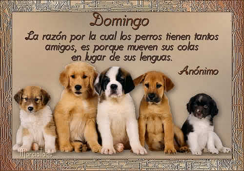 comentemosaquiloscapitulosdebandolera