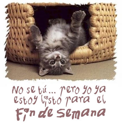 comentemosaquiloscapitulosdebandolera
