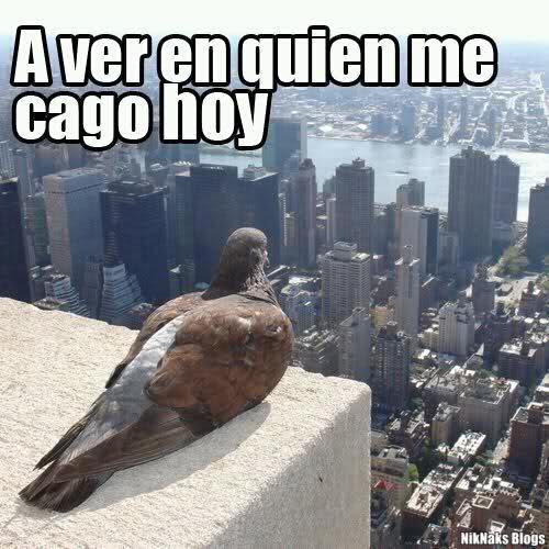 comentemosaquiloscapitulosdebandolera