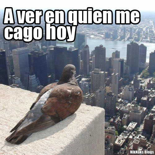 comentemosaquiloscapitulosdebandolera