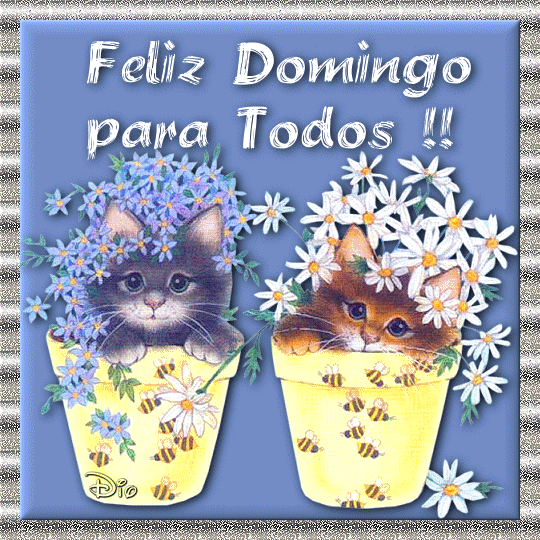 comentemosaquiloscapitulosdebandolera