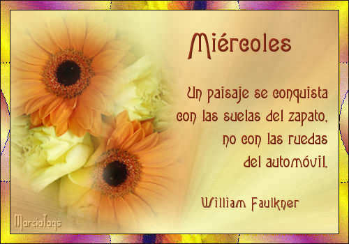 comentemosaquiloscapitulosdebandolera