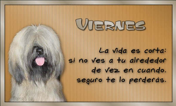 comentemosaquiloscapitulosdebandolera
