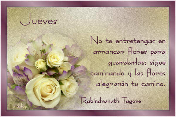 comentemosaquiloscapitulosdebandolera