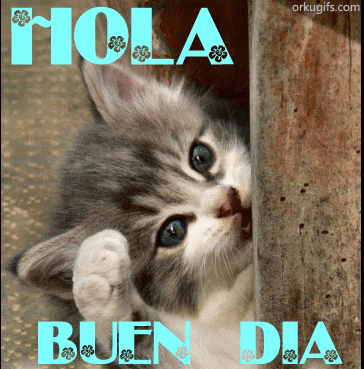 comentemosaquiloscapitulosdebandolera