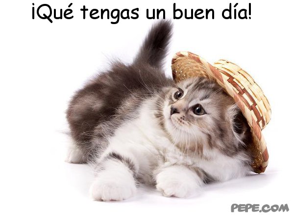 comentemosaquiloscapitulosdebandolera