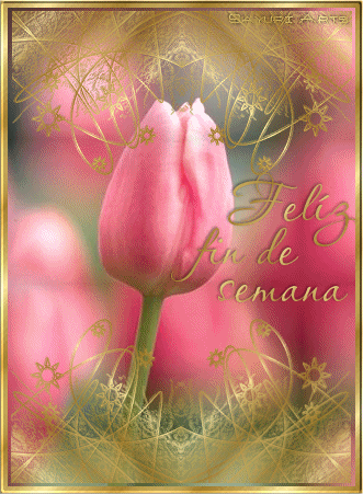 comentemosaquiloscapitulosdebandolera