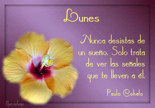 comentemosaquiloscapitulosdebandolera