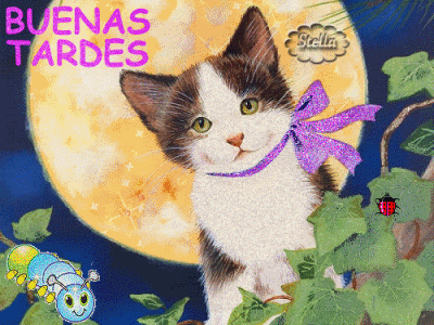 comentemosaquiloscapitulosdebandolera
