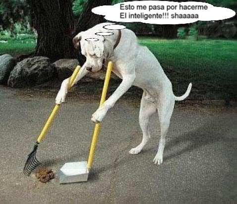 comentemosaquiloscapitulosdebandolera