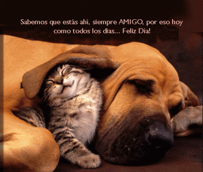 comentemosaquiloscapitulosdebandolera