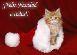 comentemosaquiloscapitulosdebandolera