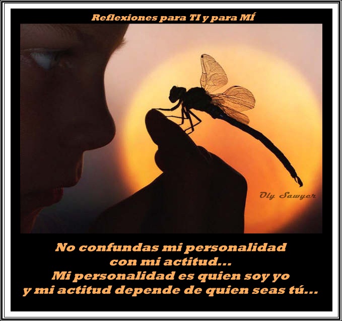 comentemosaquiloscapitulosdebandolera