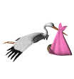 lacanastilla-hiloprobebedelcapitanylapartera-