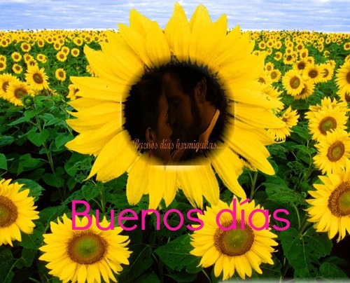 hilodevotacionesesdpvmientraseltitanicsehundialaorquestaseguiatocando