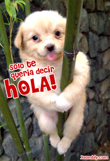 hilodevotacionesesdpvmientraseltitanicsehundialaorquestaseguiatocando
