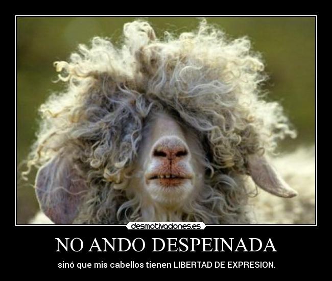 hilodevotacionesesdpvmientraseltitanicsehundialaorquestaseguiatocando