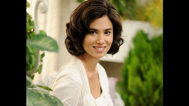 ariadnagayaseincorporaalaserie