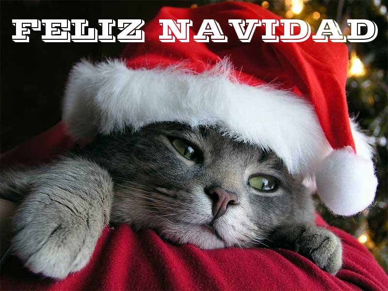 feliznavidadforo