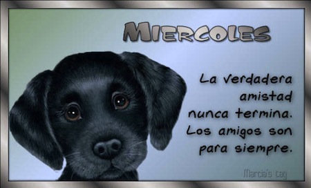 comentarloscapitulosdela7temporada
