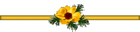 adivinalapelicula