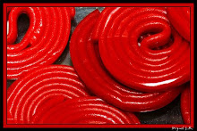 lacantinamariachitributoanuestroamoysenoraitorcarrascodeloschonispoligoneros