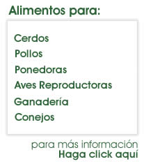 lacantinamariachitributoanuestroamoysenoraitorcarrascodeloschonispoligoneros