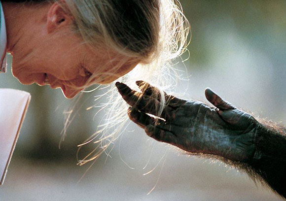 amablefotoscualquiercosaanimalesyhombres