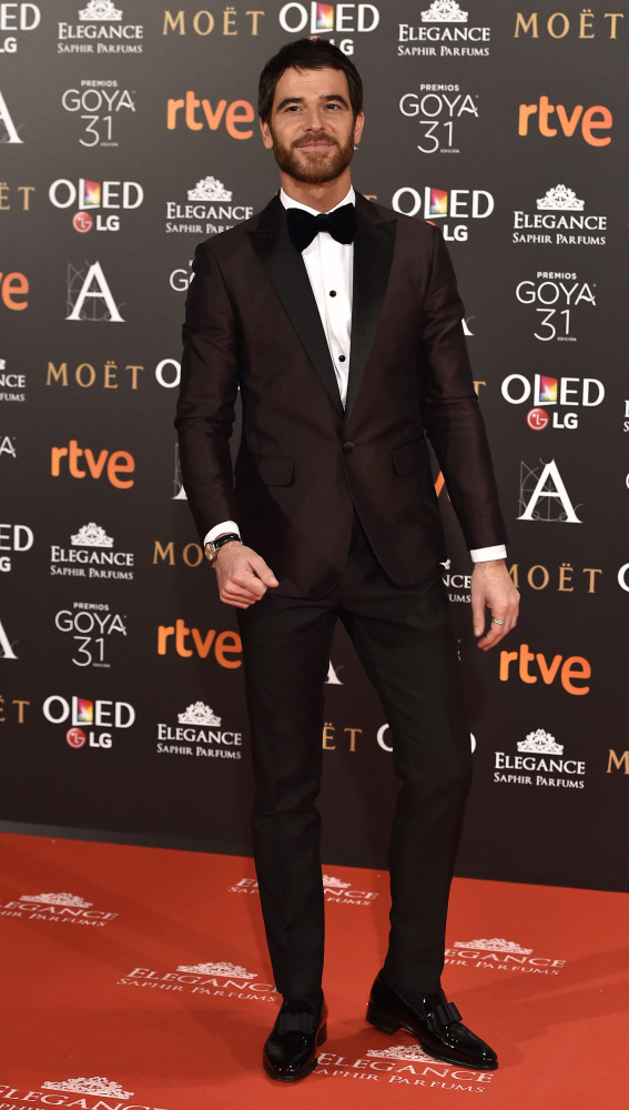 premiosgoya2017