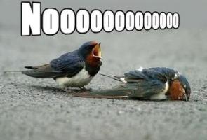 comentarloscapitulos